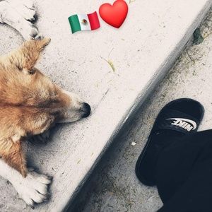 Meet your Posher, Ebelin